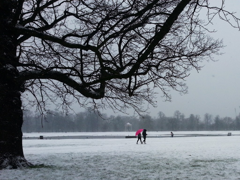 London Snow 2013 (39)